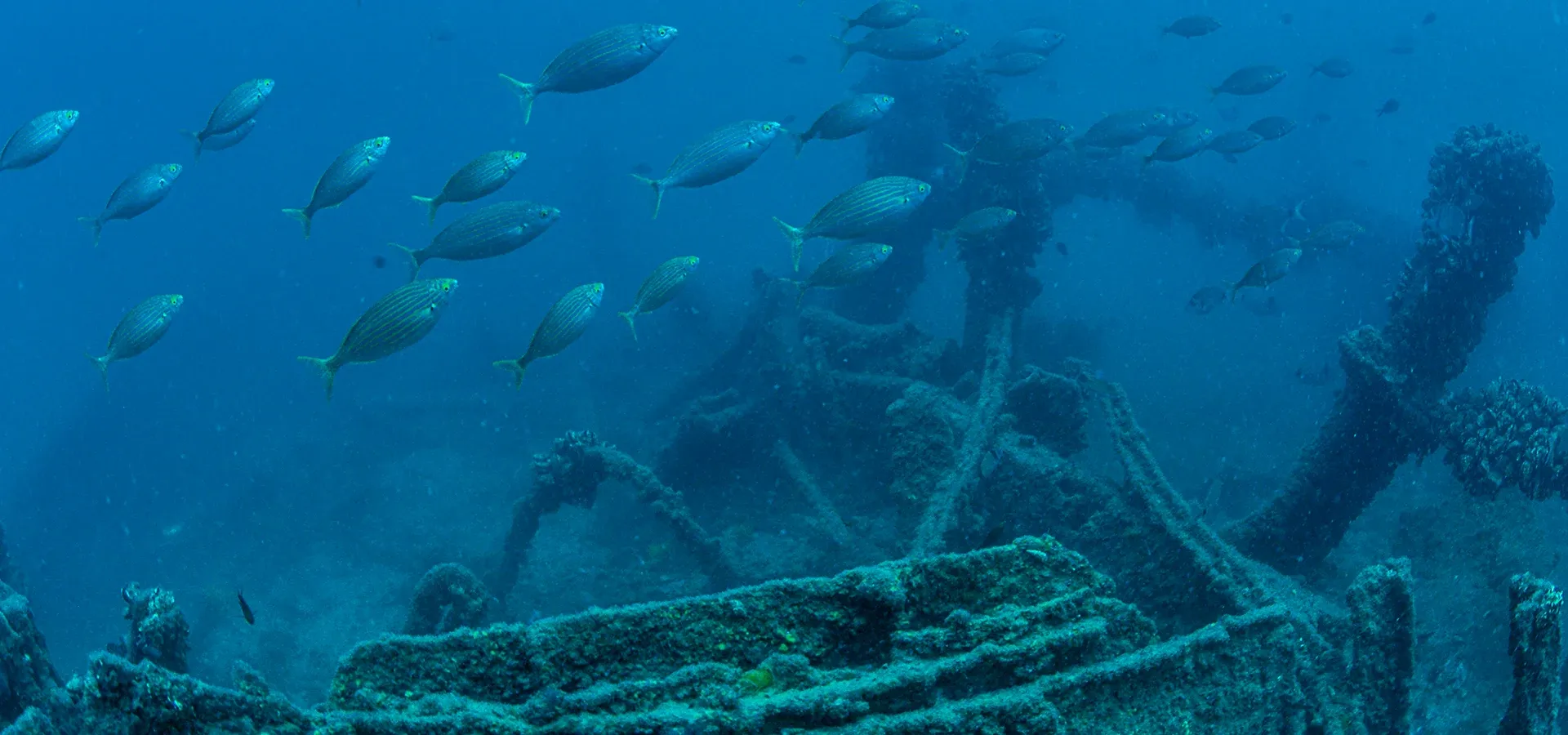 Mesudiye Zırhlısı