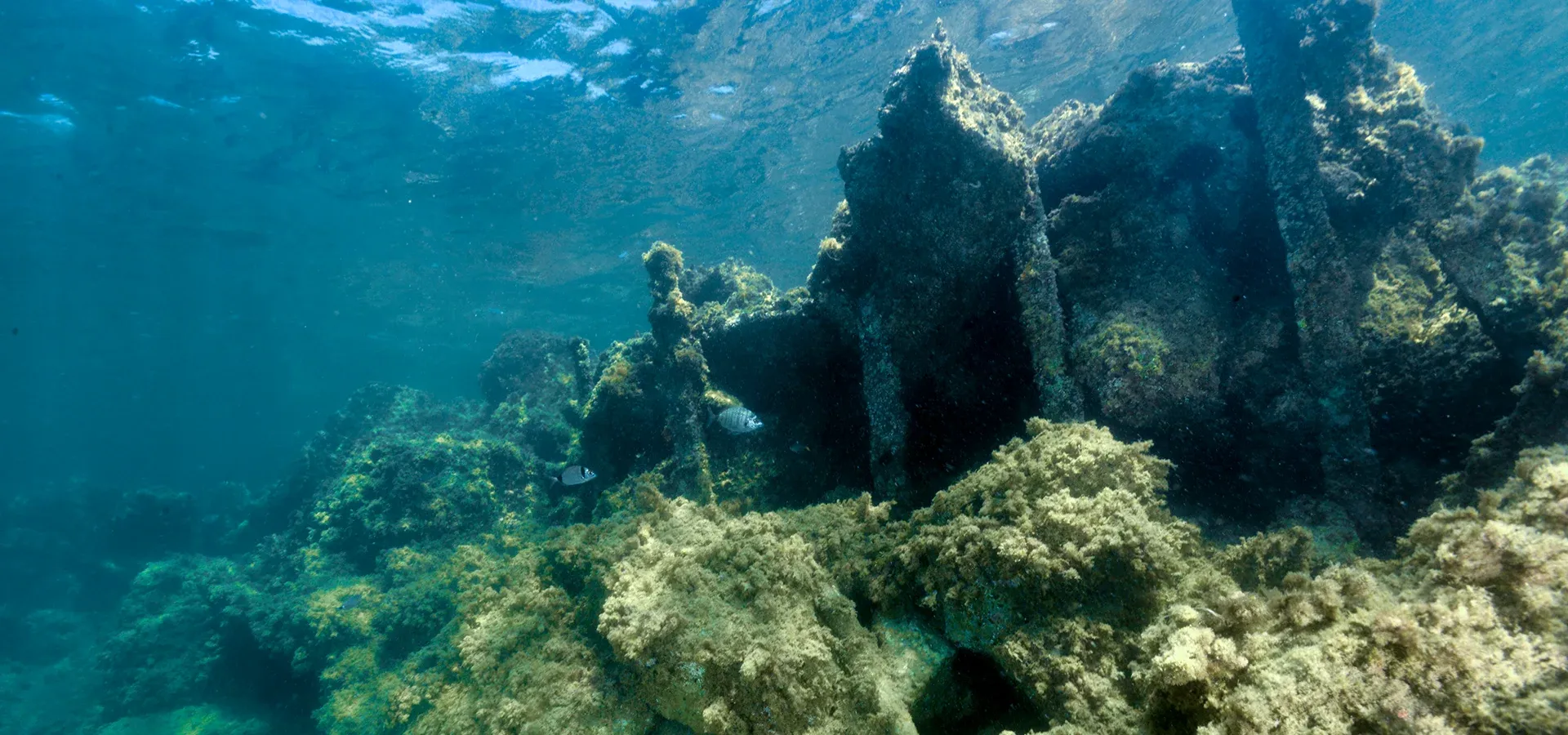 Maria Delle Vittorie and Vincenzo Florio