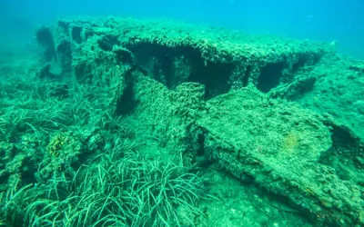 Massena and Saghalien Wrecks