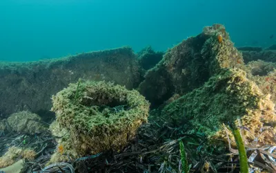 Massena and Saghalien