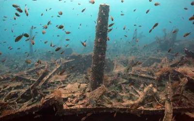 H.M.S. Majestic Wreck