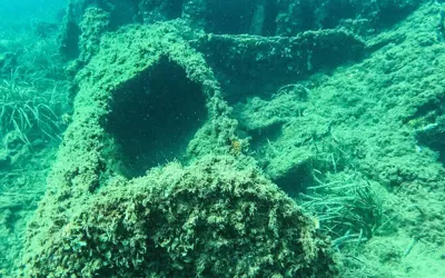 Massena and Saghalien Wrecks