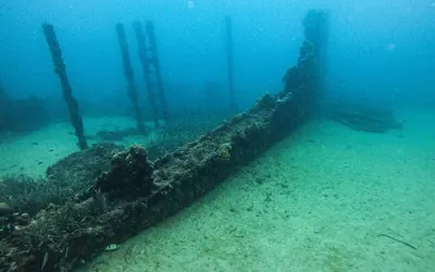 Maria Delle Vittorie and Vincenzo Florio Bankruptcies