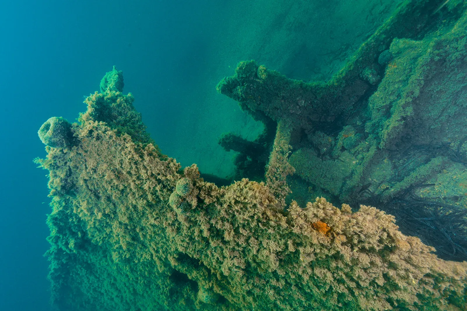 Diving Gelibolu