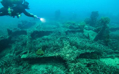 Maria Delle Vittorie and Vincenzo Florio Bankruptcies