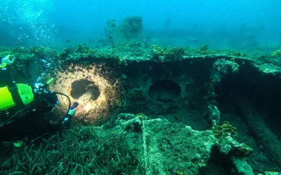 Maria Delle Vittorie and Vincenzo Florio Bankruptcies