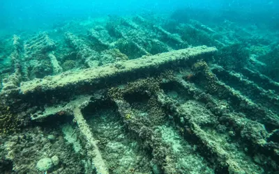 Maria Delle Vittorie and Vincenzo Florio Bankruptcies